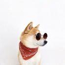 ALBL的个人资料头像