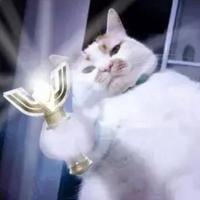 元气少女郭德纲头像