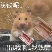 安逸漂流瓶kWX头像