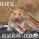 安逸漂流瓶kWX · 凯美瑞车主·车龄1年头像
