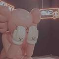 在洛阳鸽子头像