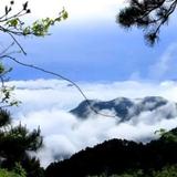 weizhiqingxin头像