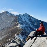 豁达柳叶wwS头像