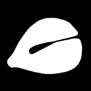 薄何的个人资料头像