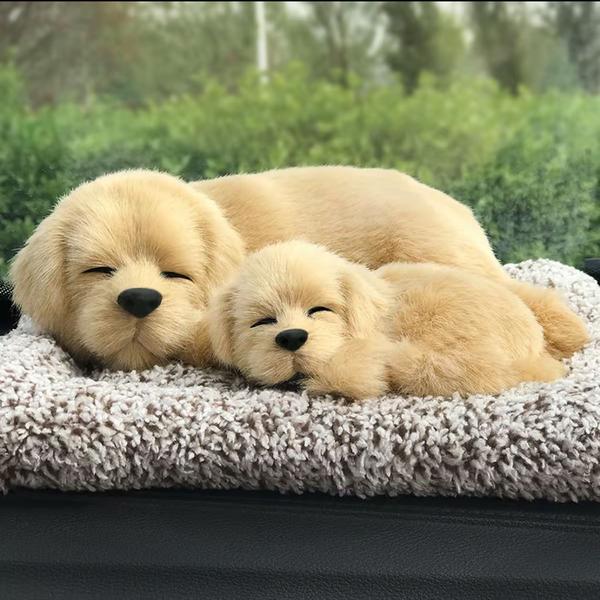 不懂车的赵冠希头像