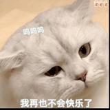 Eileen～头像