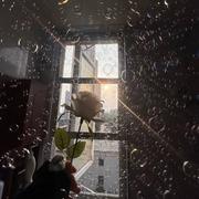 用户8581856505082的个人资料头像