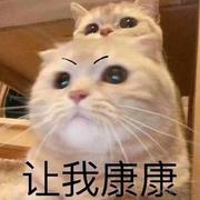 Kikiiiii的个人资料头像