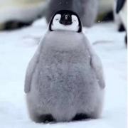 Running623的个人资料头像