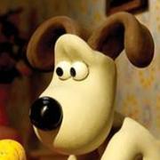 奇DsWr的个人资料头像