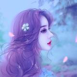 流星hbp头像