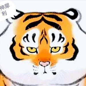金鑫！头像