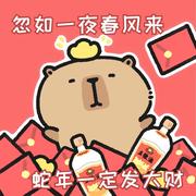 Windyskr的个人资料头像