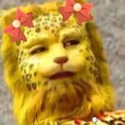 季久的个人资料头像