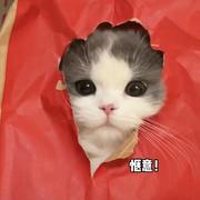 Augenstern313的个人资料头像