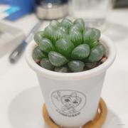 洛笙阁的个人资料头像