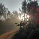 stanwang的个人资料头像