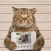 快克kHS头像