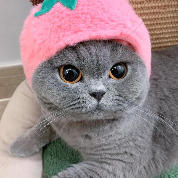满玮桦头像