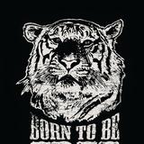 智勇双全的滨滨头像