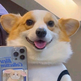 上进的豆花pS头像