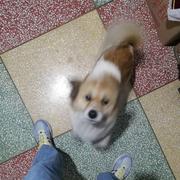 hhn的个人资料头像
