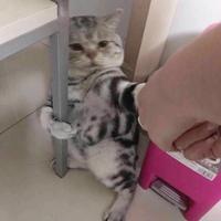 HEy441头像