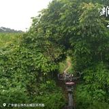 骑行天涯75头像