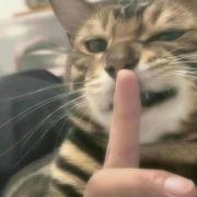 DAYLIGHT的个人资料头像