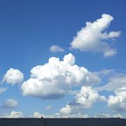 Wel的个人资料头像