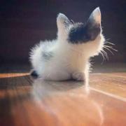 Lyndon05的个人资料头像