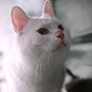 热情的可乐xvaqPP头像