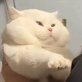 我不是给块糖就笑的孩纸79291260头像