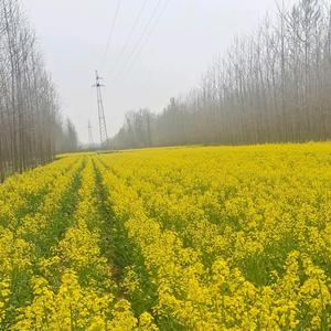 温暖向前小钟头像