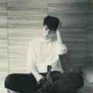 Al50604的个人资料头像