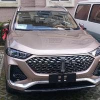 son21头像