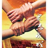 縌颩方姠莄適合飛翔头像