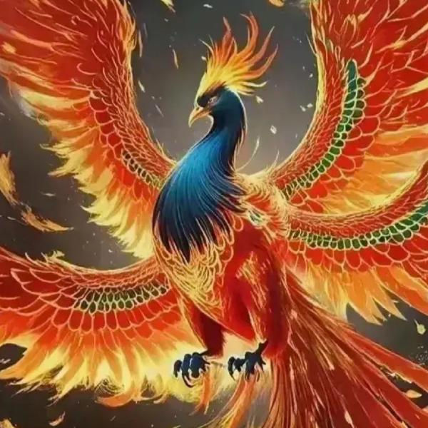 揭阳市龙泰名车周哥秒车头像