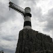 拉达的个人资料头像