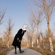 石榴在春天的个人资料头像