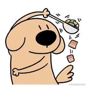 yizhi鱼鱼的个人资料头像