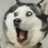 自由玩烘焙头像