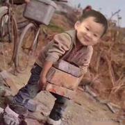 xyst123的个人资料头像