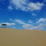 山大E图的个人资料头像