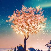 惜月913的个人资料头像