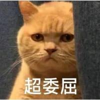 勉为其难56187头像