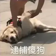 卖桃酥的个人资料头像