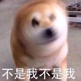 猿猱欲渡愁攀援头像