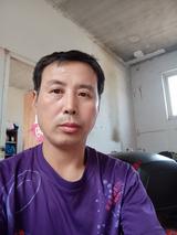 漫步羊群的狼头像