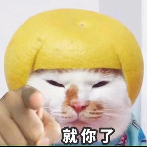 上进的天空G头像
